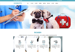 官网+小程序双端运营数据对比