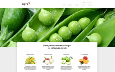 HTML中文网站模板