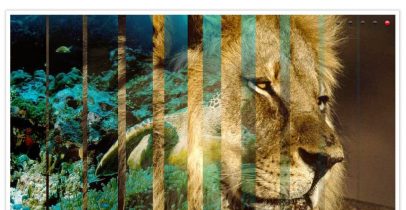 工业企业网站建设