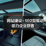 网站建设+SEO双驱动助力企业获客（图2）