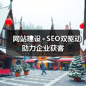 网站建设+SEO双驱动助力企业获客（图3）