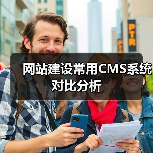 网站建设常用CMS系统对比分析（图1）