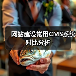 网站建设常用CMS系统对比分析（图4）