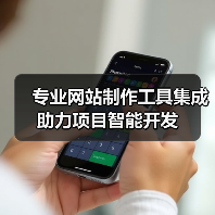 专业网站制作工具集成助力项目智能开发（图1）