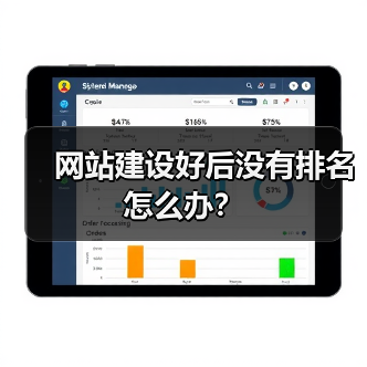 网站建设好后没有排名怎么办？（图4）