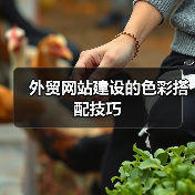 外贸网站建设的色彩搭配技巧(图4) 外贸网站建设的色彩搭配技巧(图4)