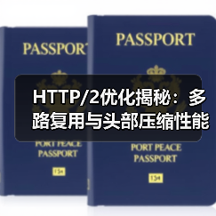 HTTP/2优化揭秘：多路复用与头部压缩性能提升技巧（图2）
