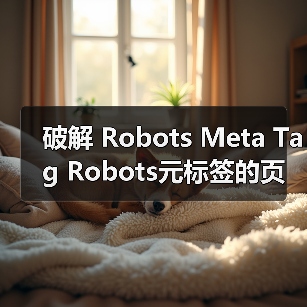 破解 Robots Meta Tag R