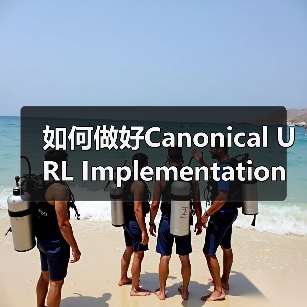 如何做好Canonical URL Implementation，解决重复内容与权重集中的秘诀（图3）