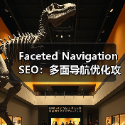Faceted Navigation S