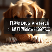 DNS Prefetch如何一键破解性能