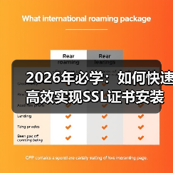 2026年必学：如何快速高效实现SSL证