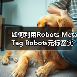 如何利用Robots Meta Tag 
